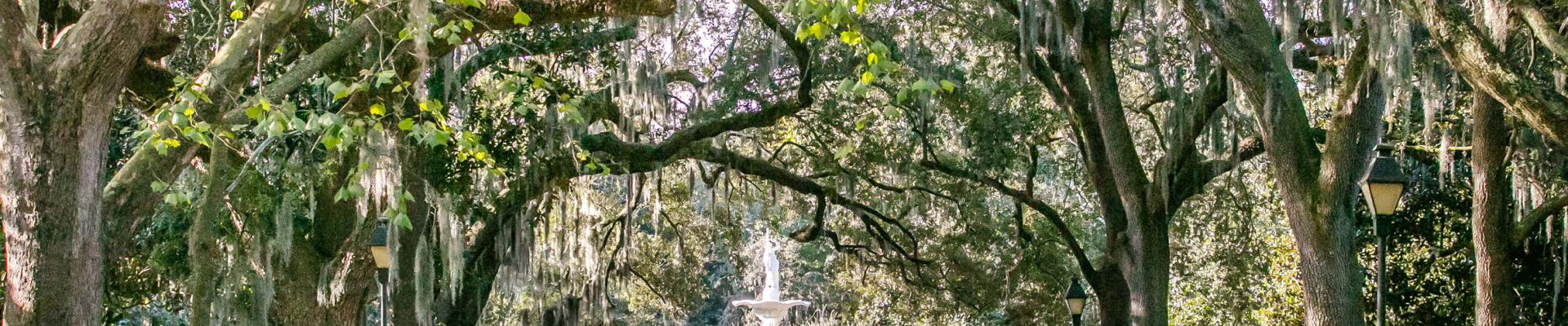 Green Forsyth Park Fountain image Green Forsyth Park Fountain